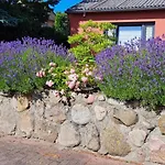 Libelle Feriehus *