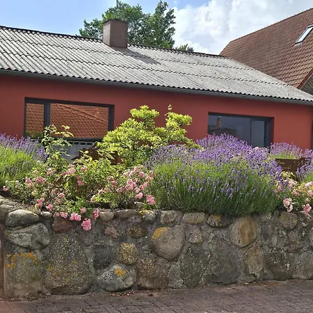Libelle Vakantiehuis Böhl
