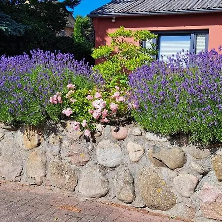 Libelle Ferienhaus *