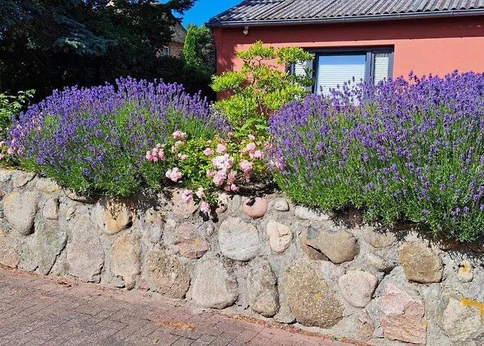 Libelle Vakantiehuis *